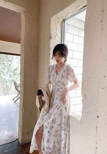 Women Floral Printed Dress